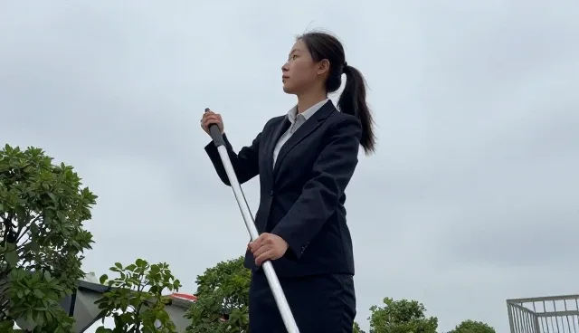 绿化养护选型中环境影响的考量要素